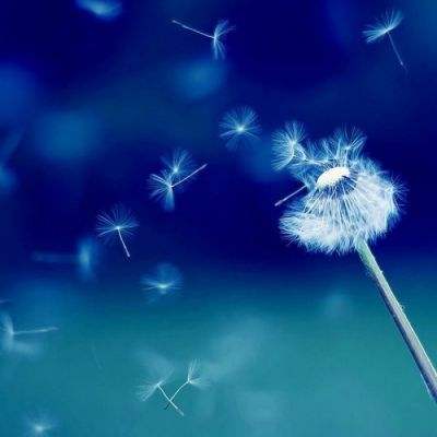 竞彩足球app官方下载安装手机版截图