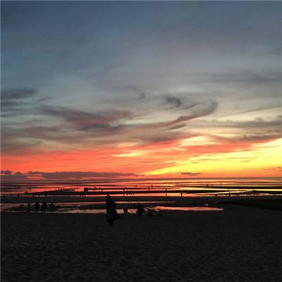 必一体育app官方网站