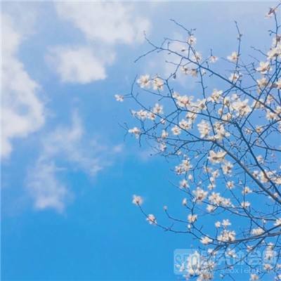 爱游戏平台手机app下载